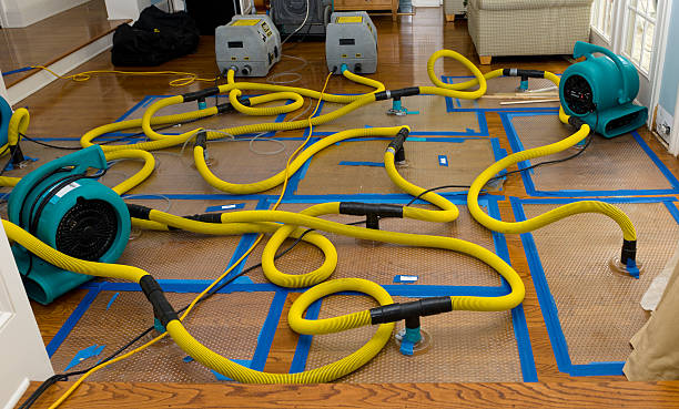 Professional Structural Drying And Dehumidification technician working in Morganton, NC